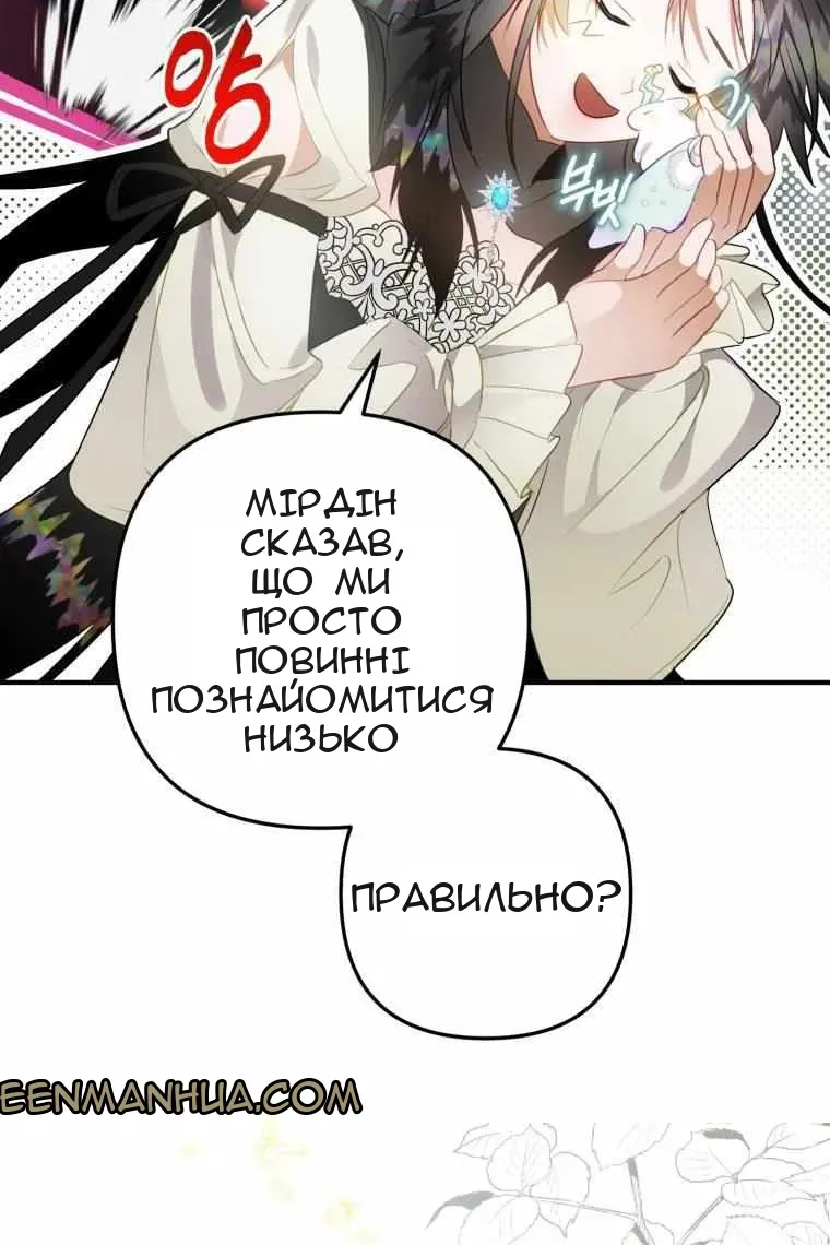 Сторінка 111