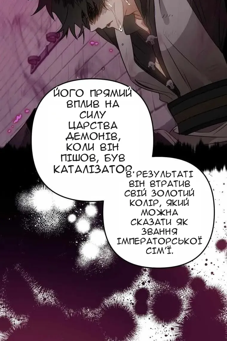 Сторінка 126