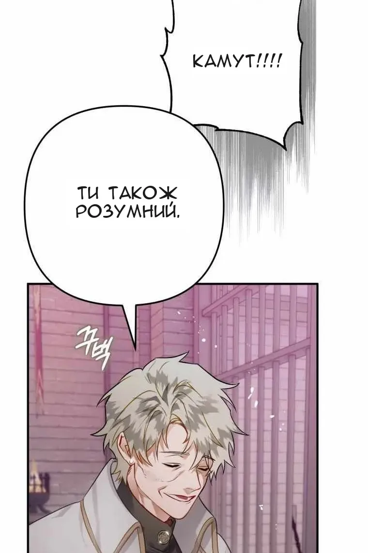 Сторінка 15