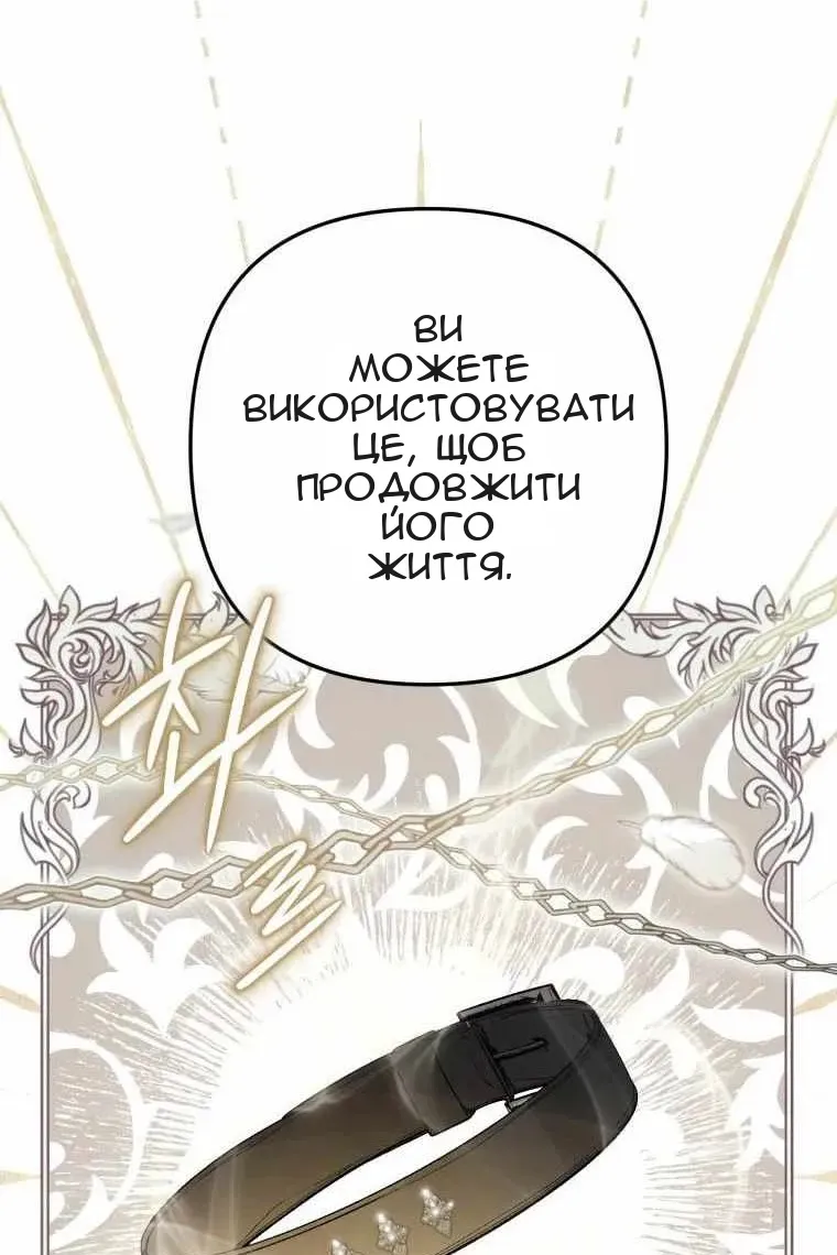 Сторінка 17