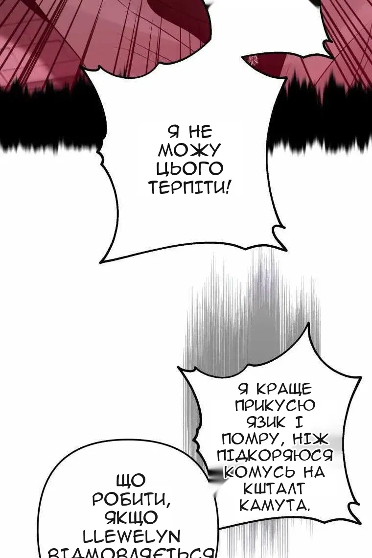 Сторінка 24
