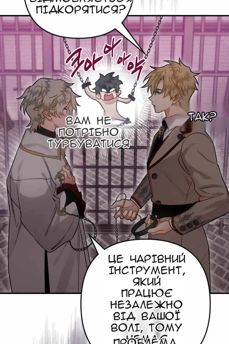 Сторінка 25