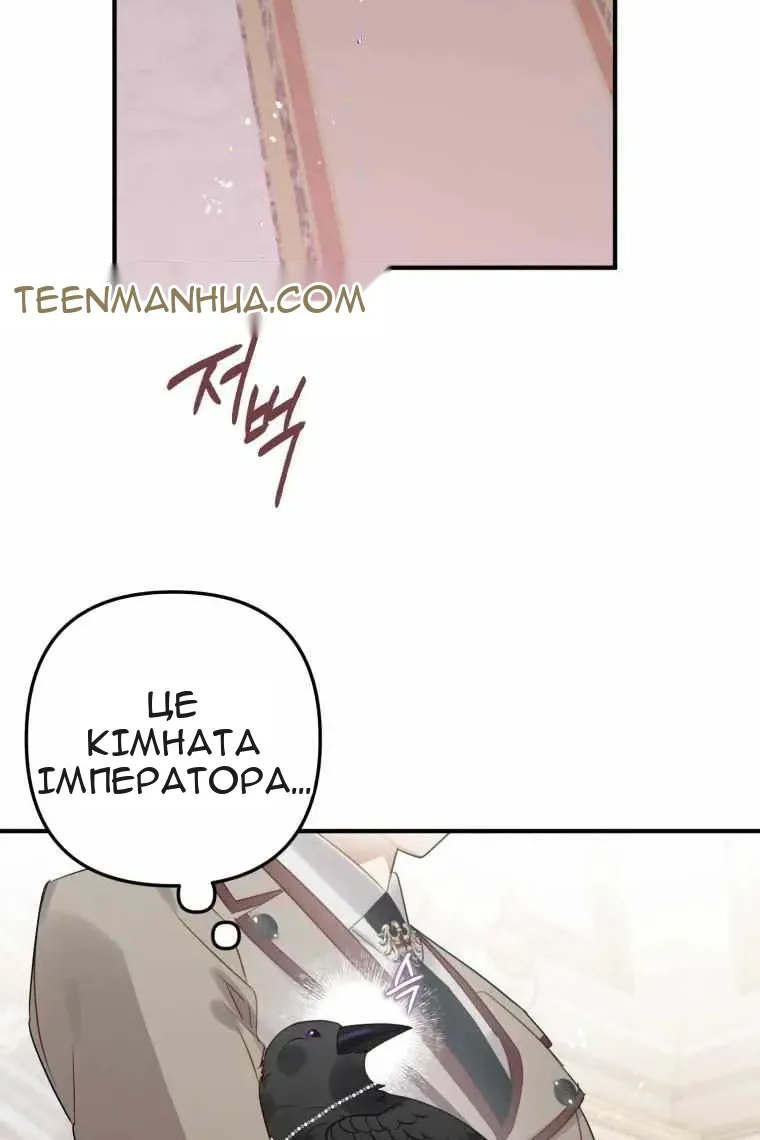 Сторінка 16