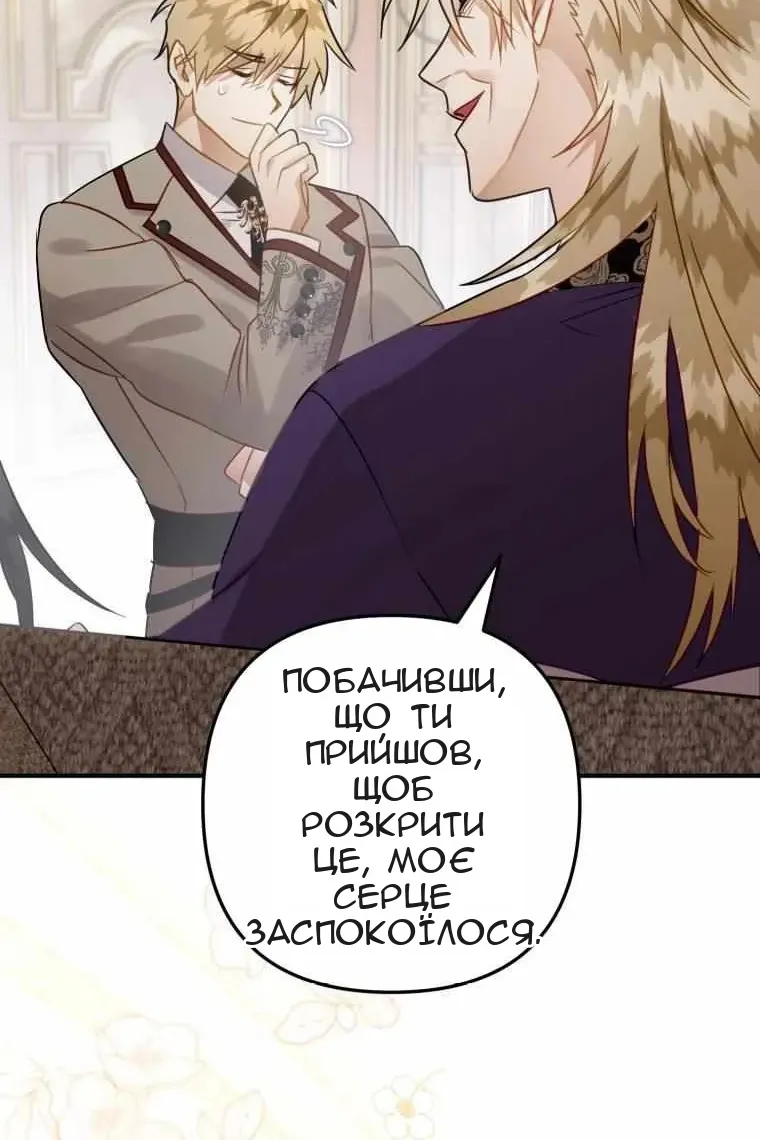 Сторінка 41