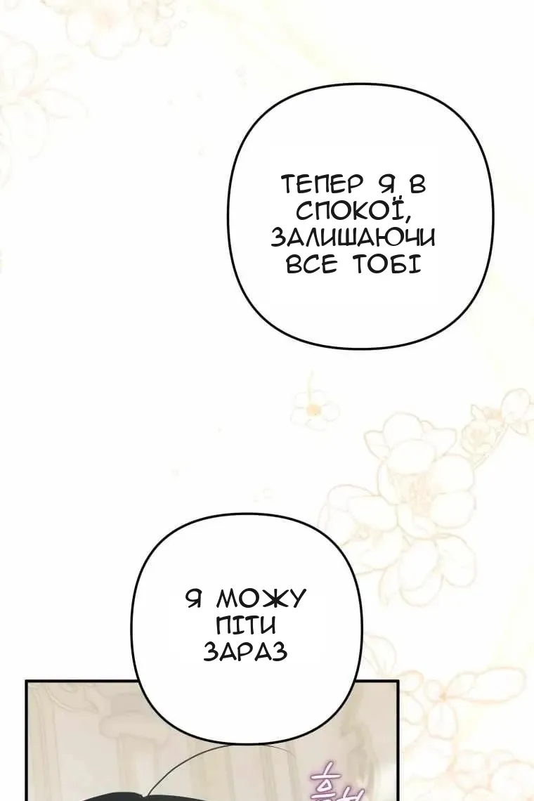 Сторінка 42