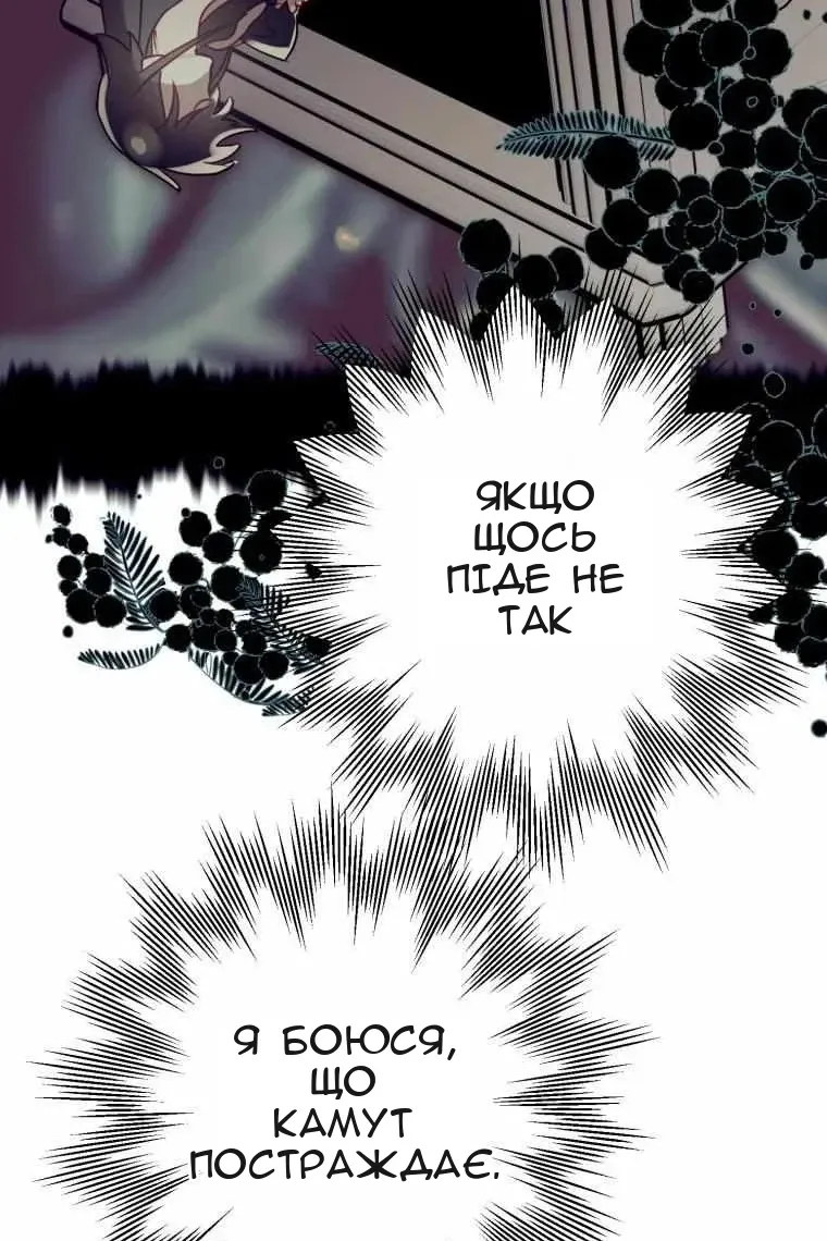 Сторінка 116