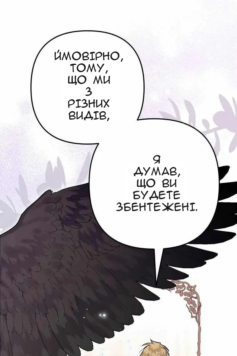 Сторінка 17