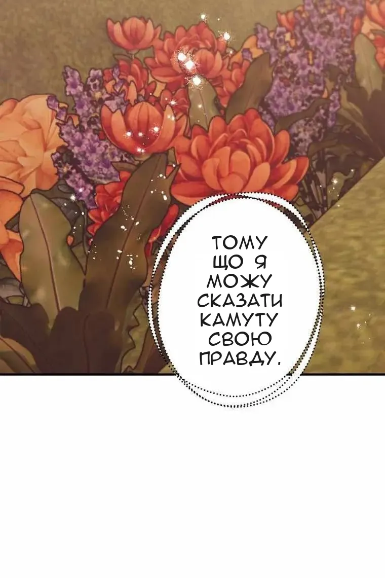 Сторінка 82