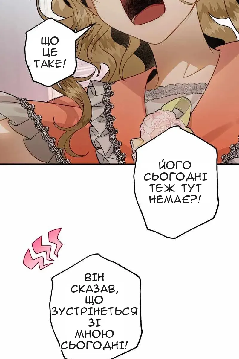 Сторінка 3