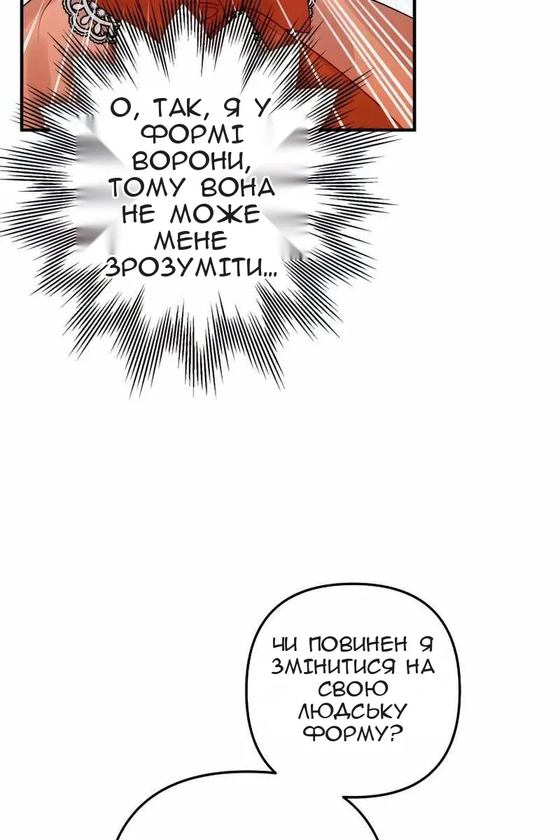 Сторінка 37