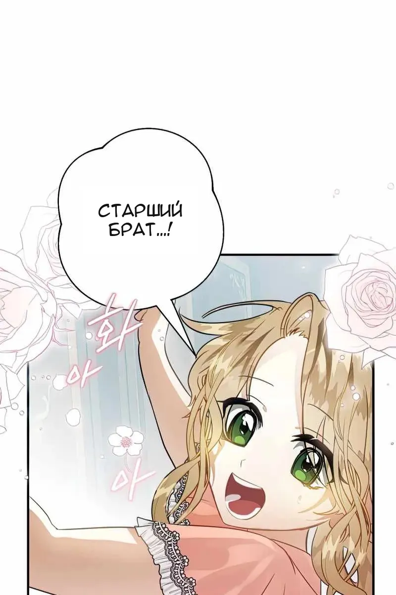 Сторінка 51