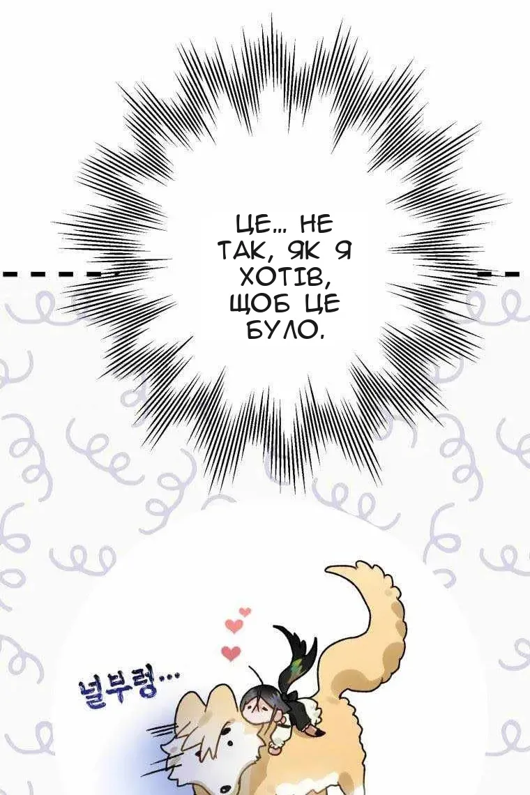 Сторінка 49
