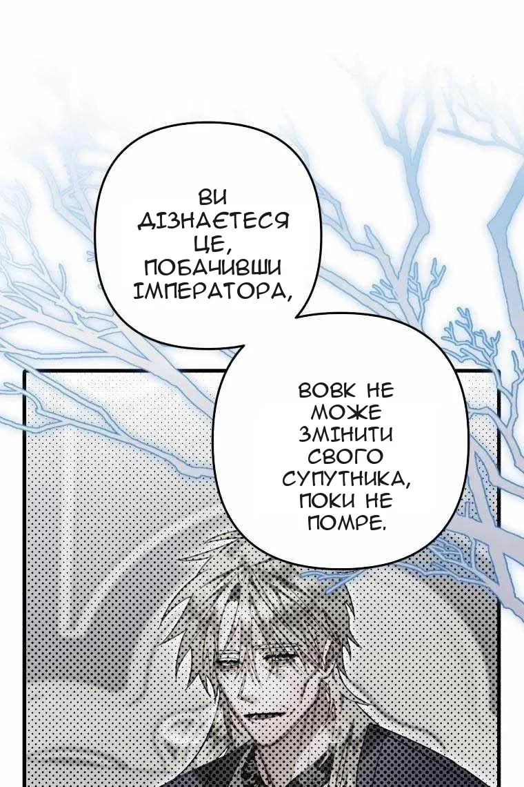 Сторінка 98