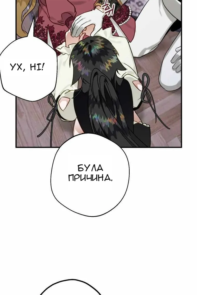 Сторінка 31