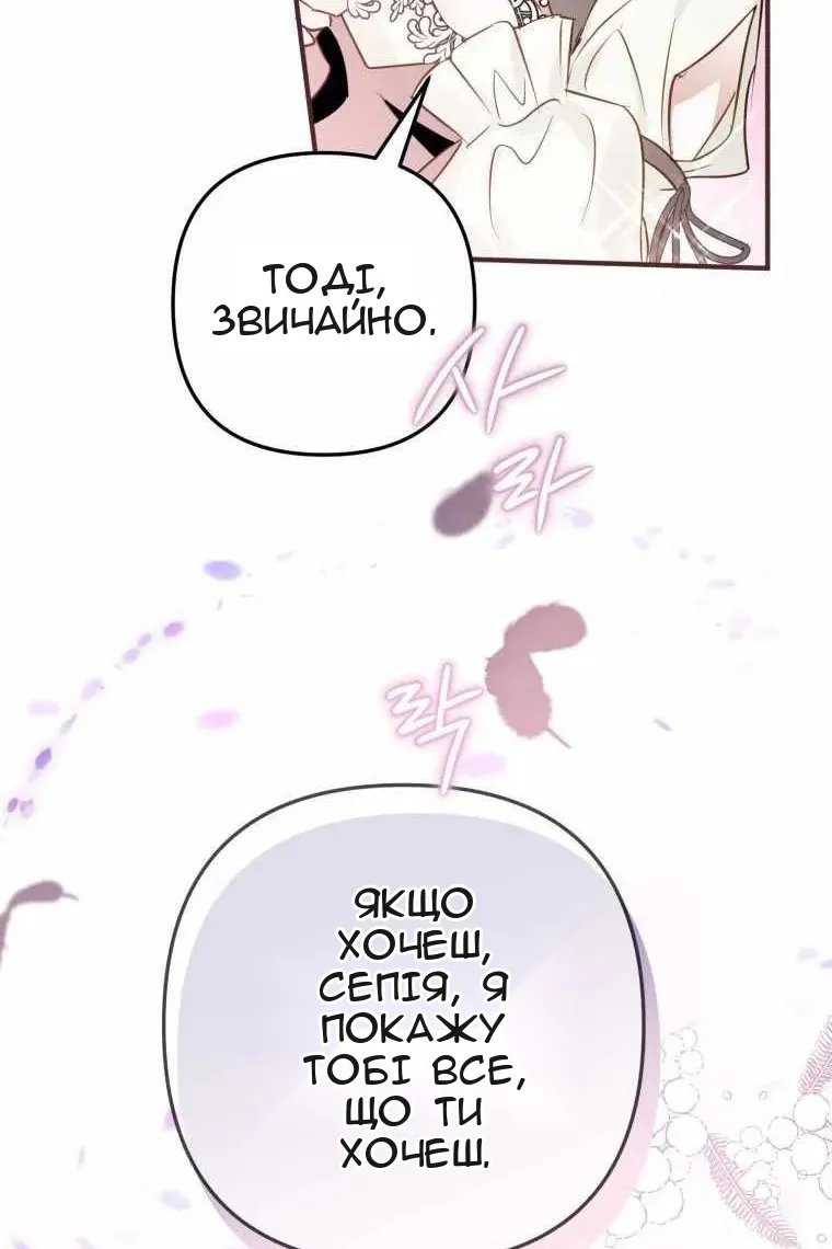 Сторінка 39