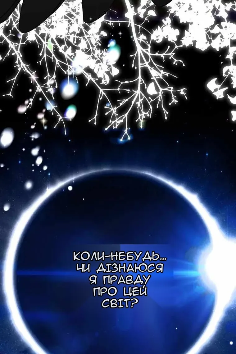 Сторінка 68