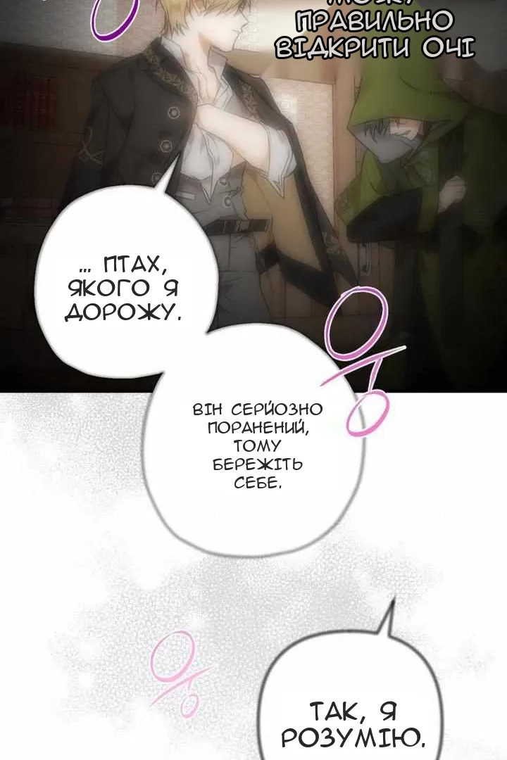 Сторінка 41