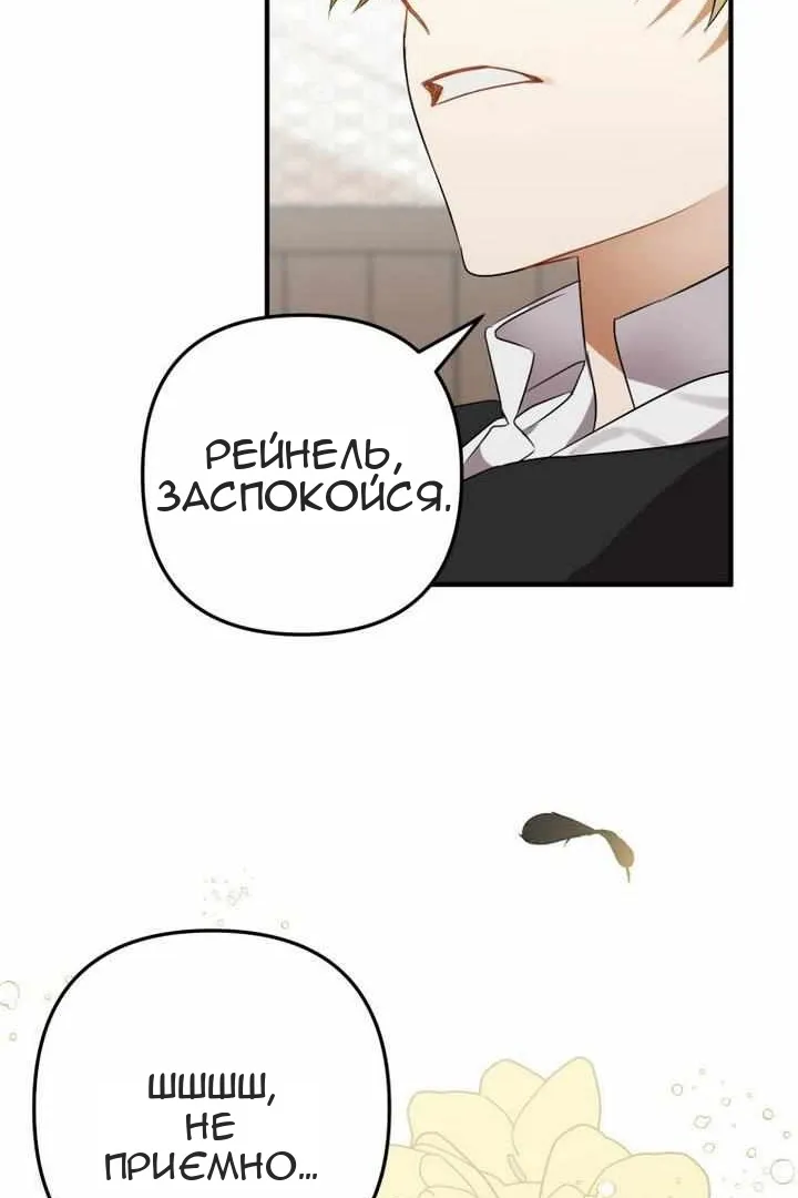 Сторінка 47