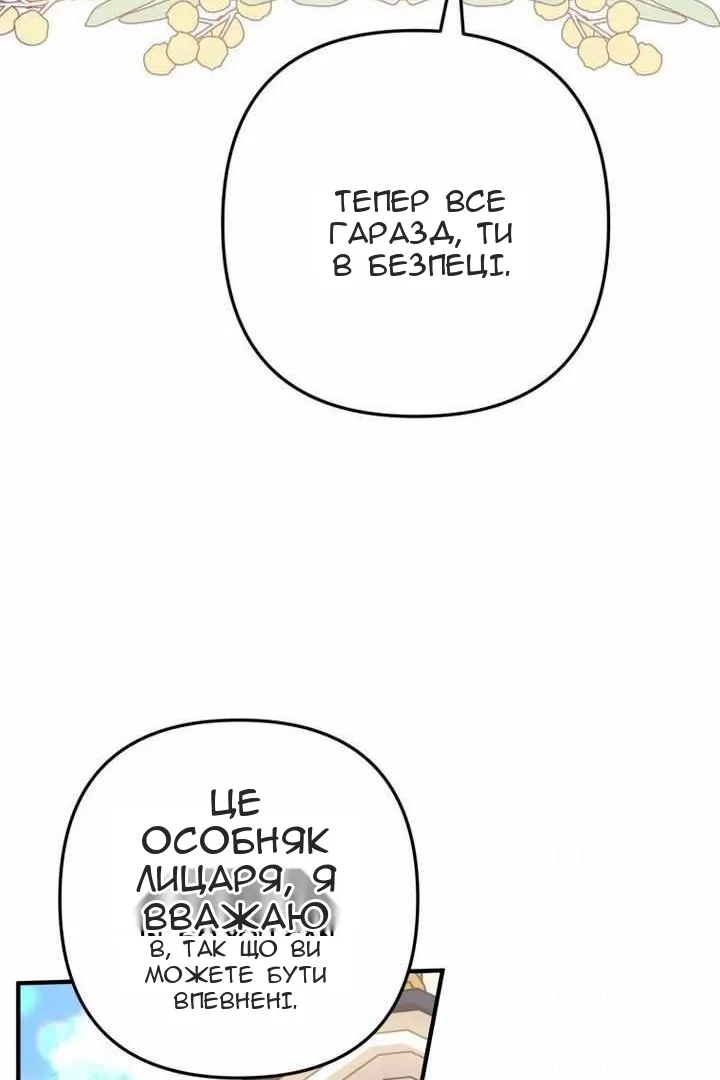 Сторінка 49