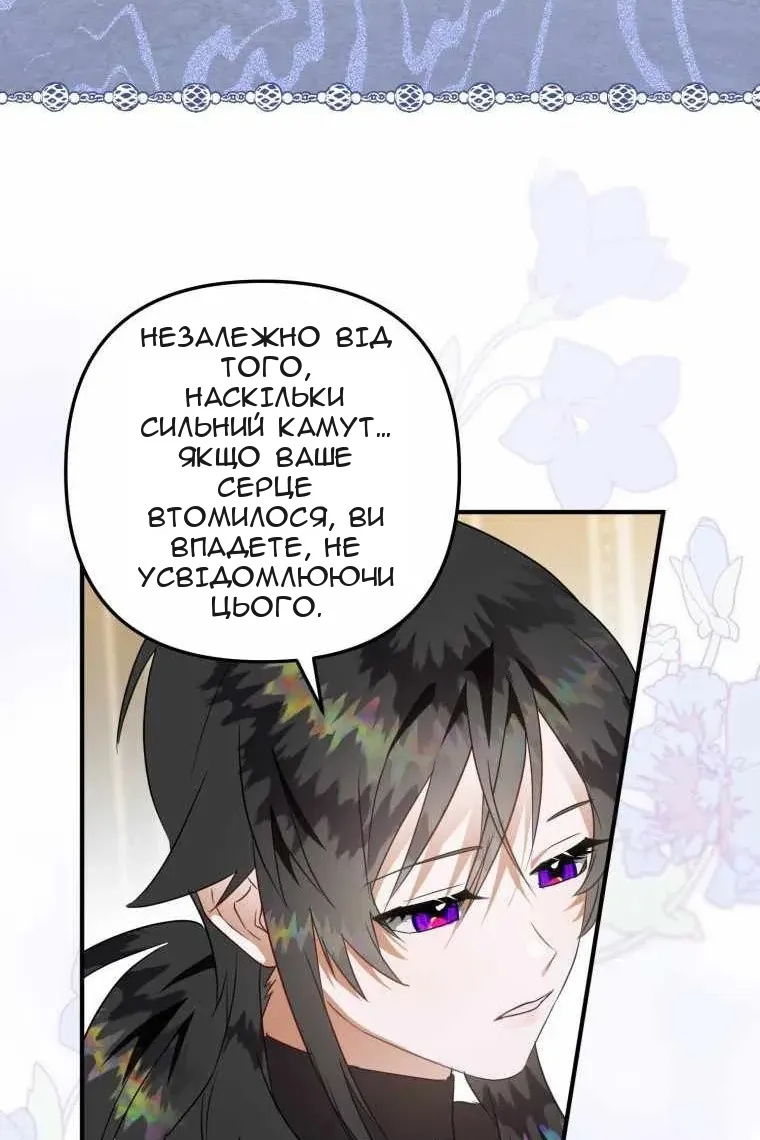 Сторінка 41
