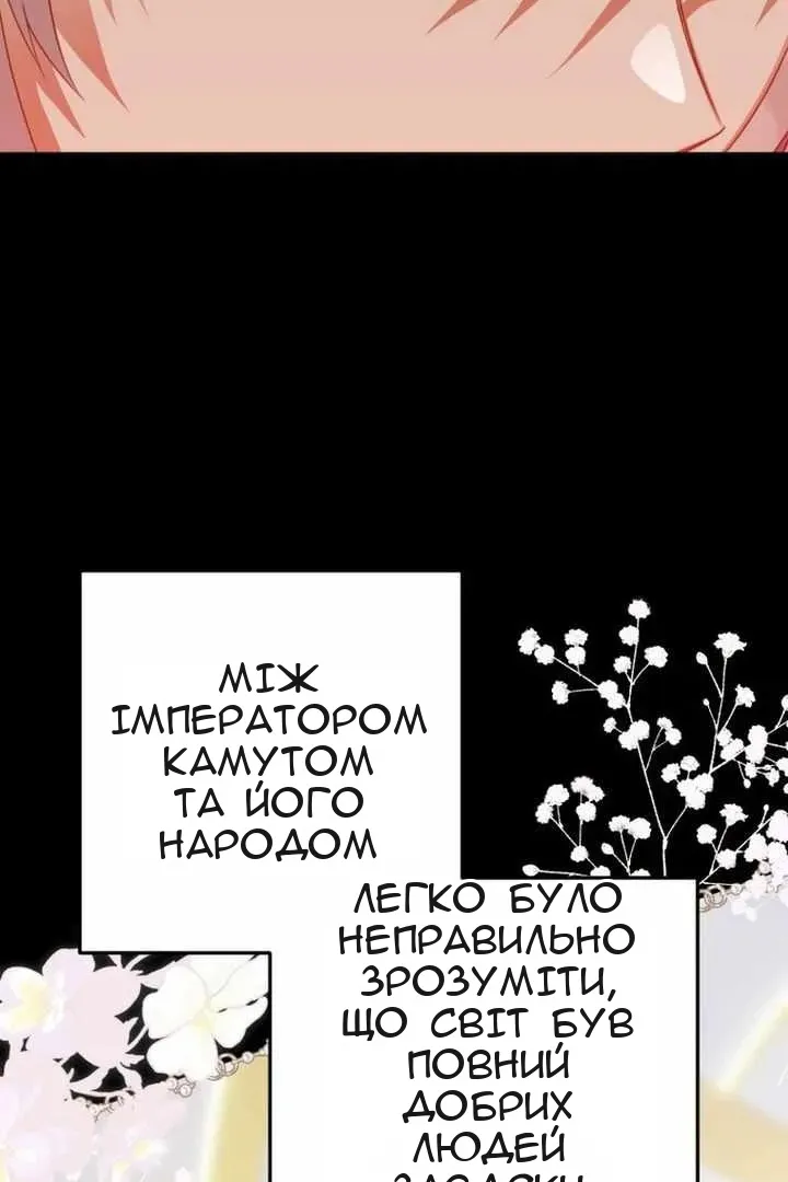 Сторінка 7