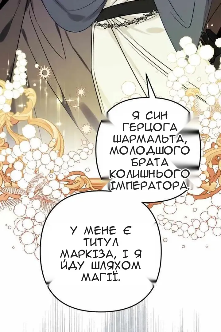 Сторінка 43