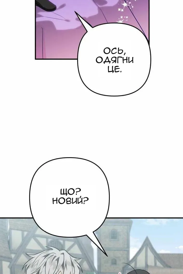 Сторінка 17