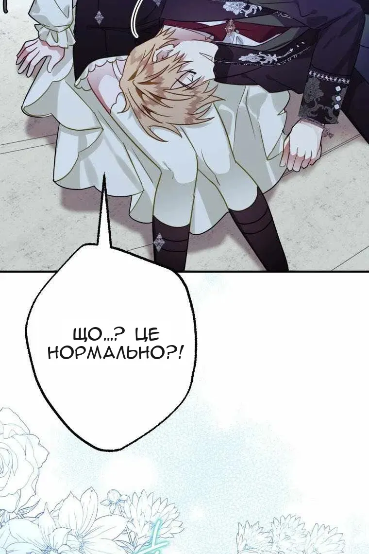 Сторінка 44