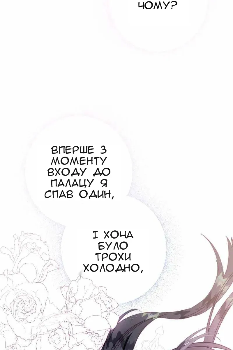 Сторінка 97