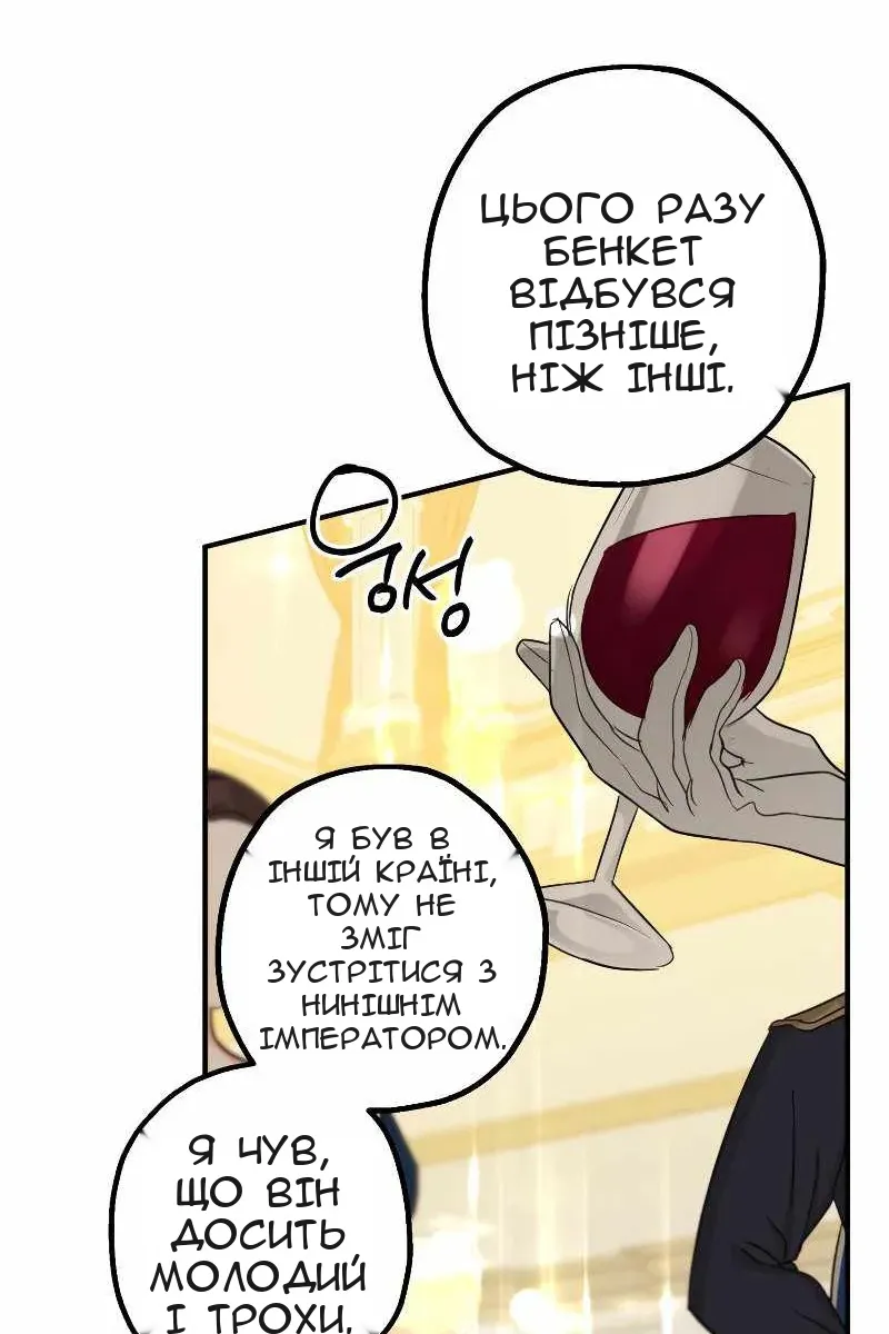 Сторінка 111
