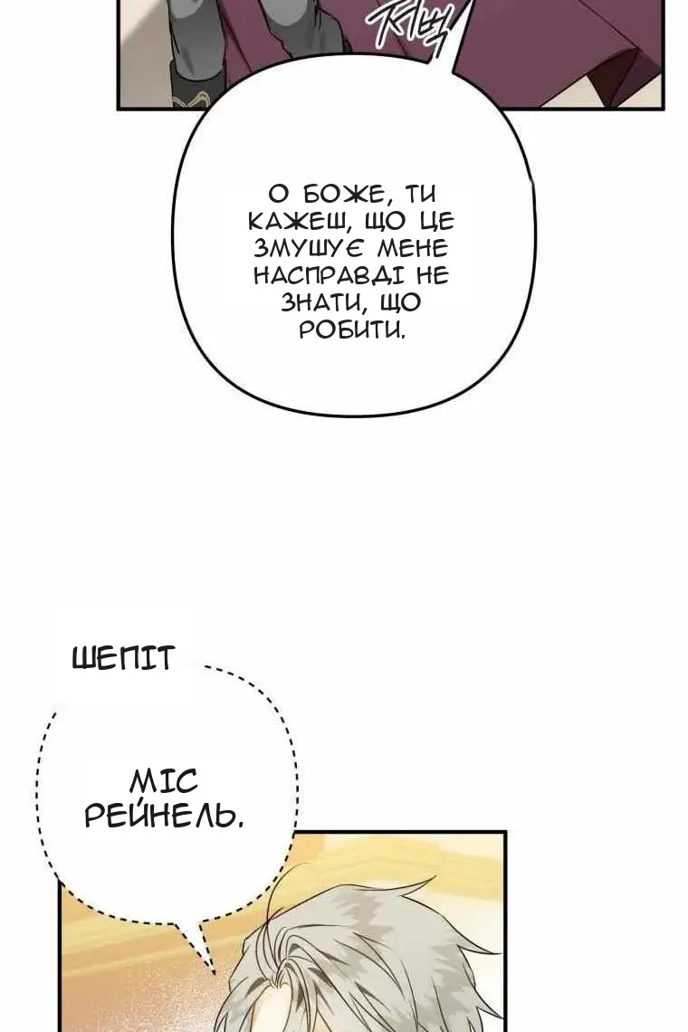 Сторінка 17