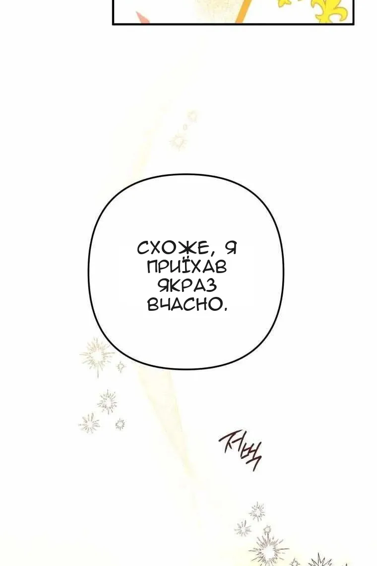 Сторінка 29