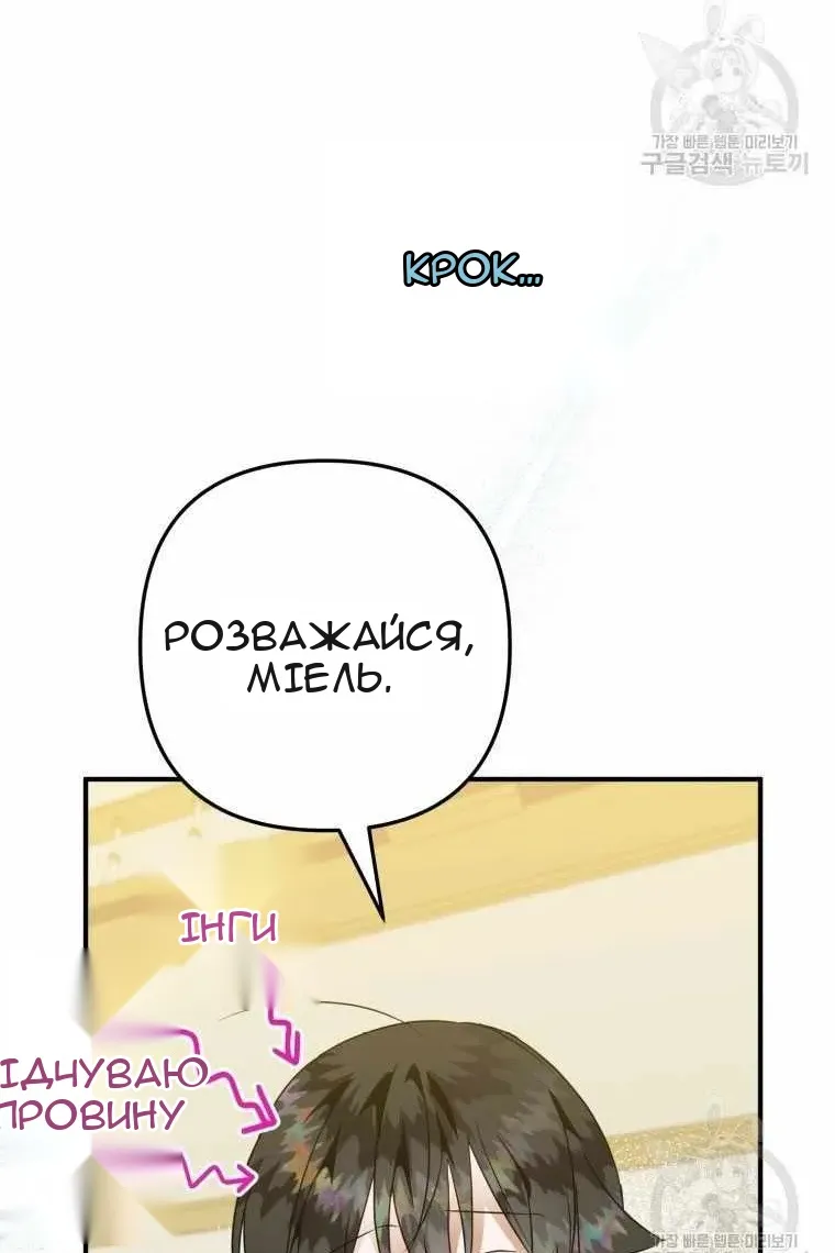 Сторінка 17