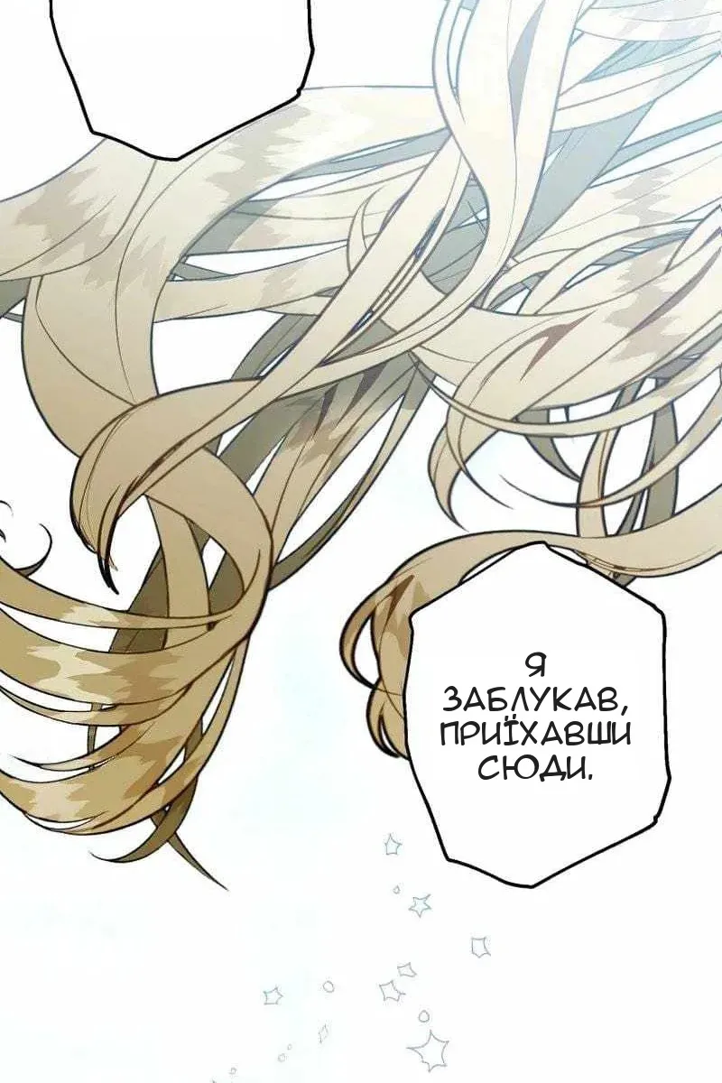 Сторінка 111
