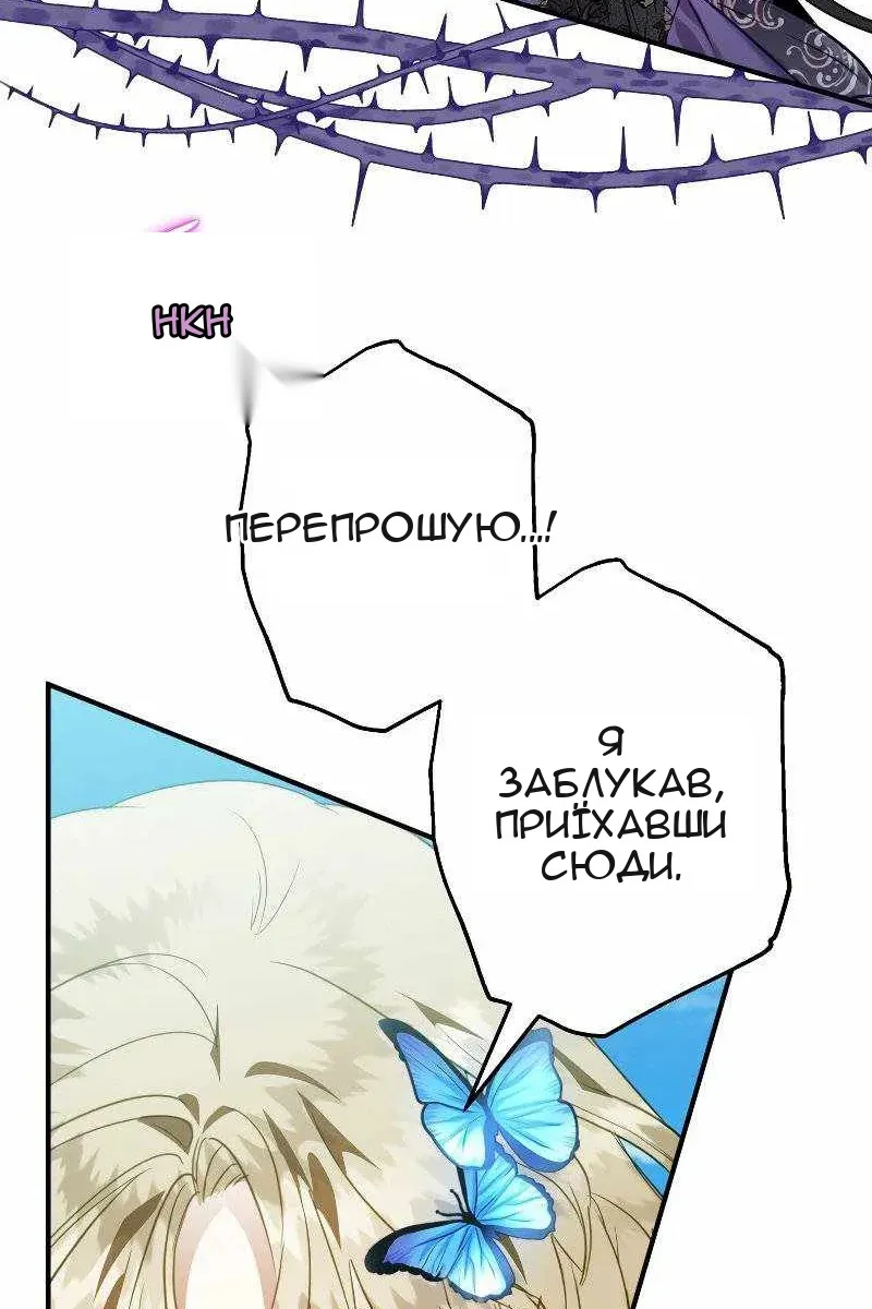 Сторінка 6