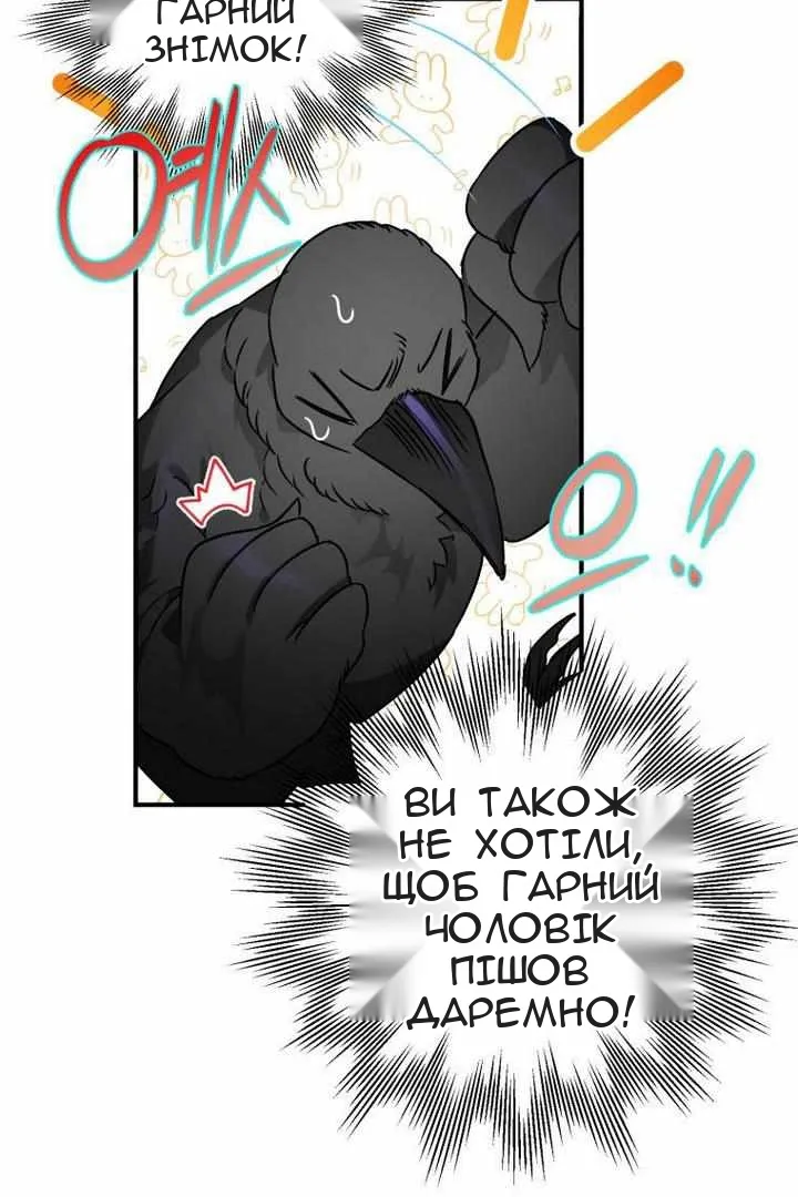 Сторінка 8