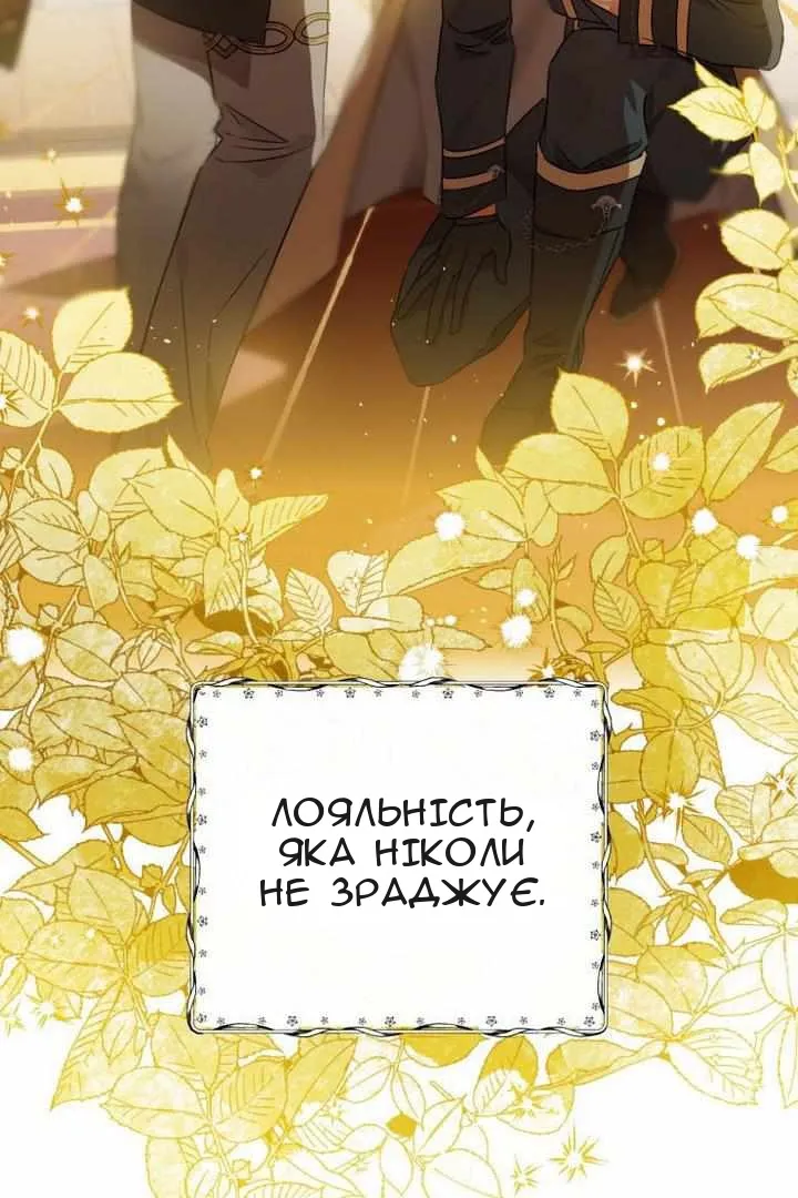Сторінка 28