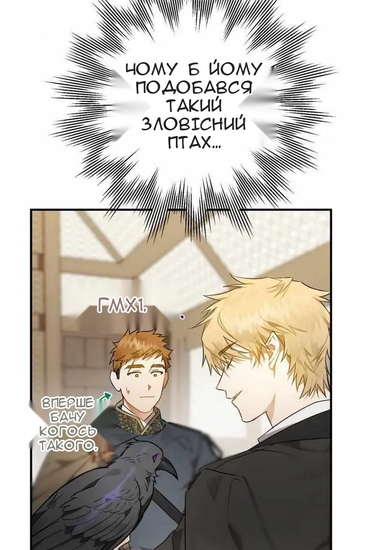 Сторінка 41