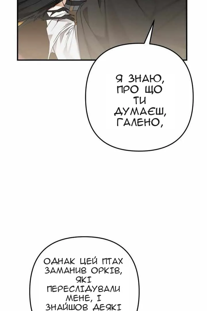 Сторінка 42