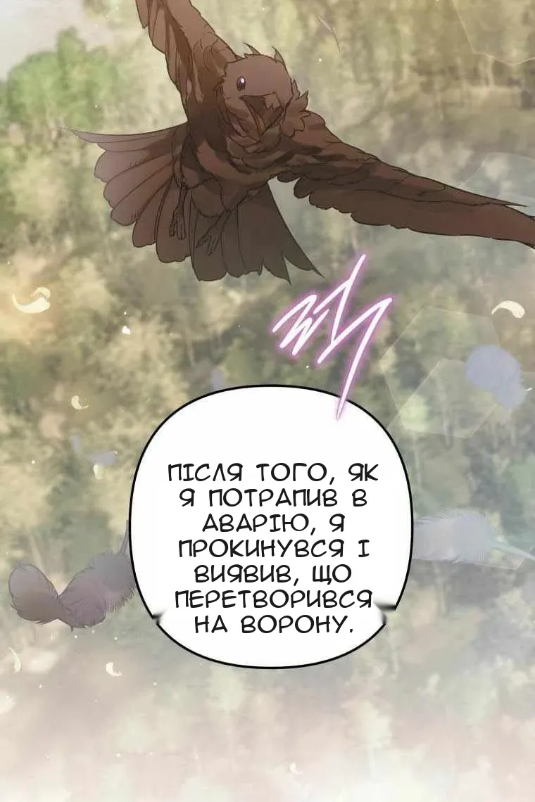Сторінка 27