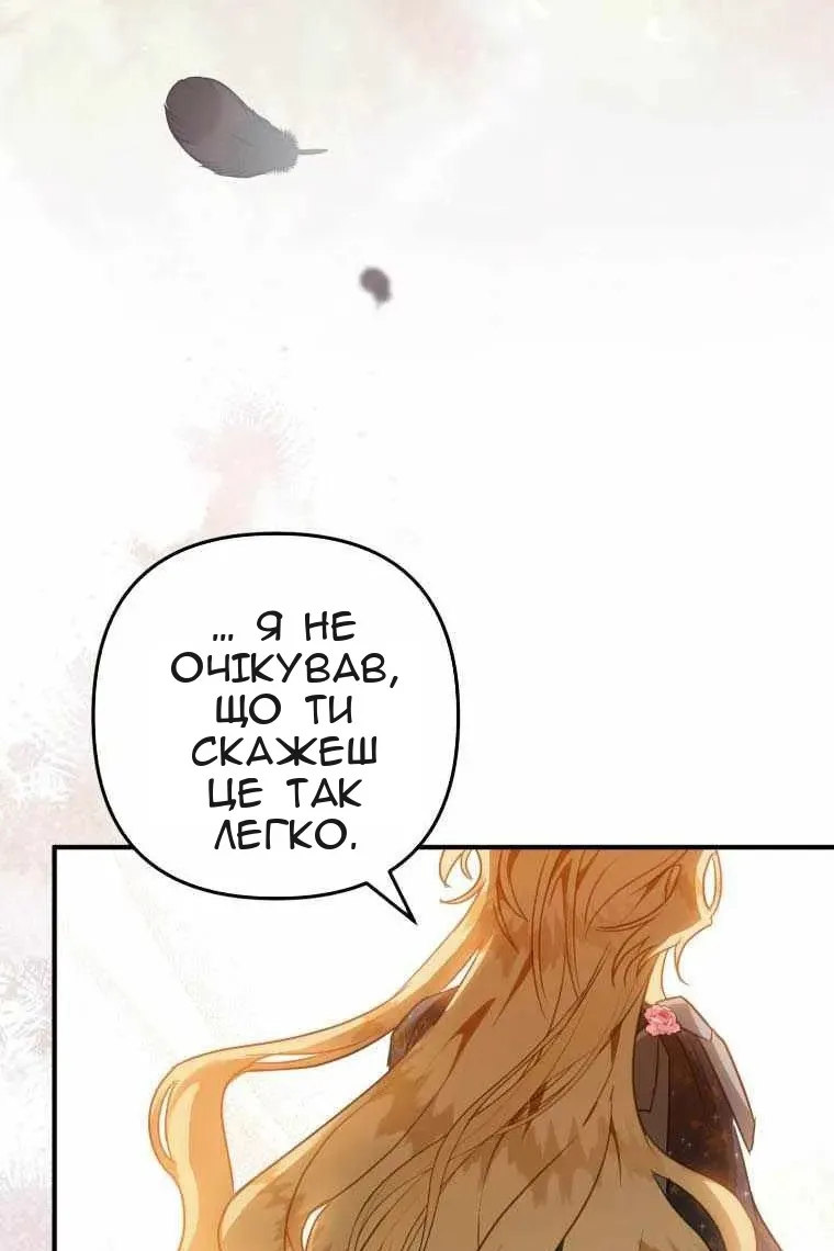 Сторінка 28