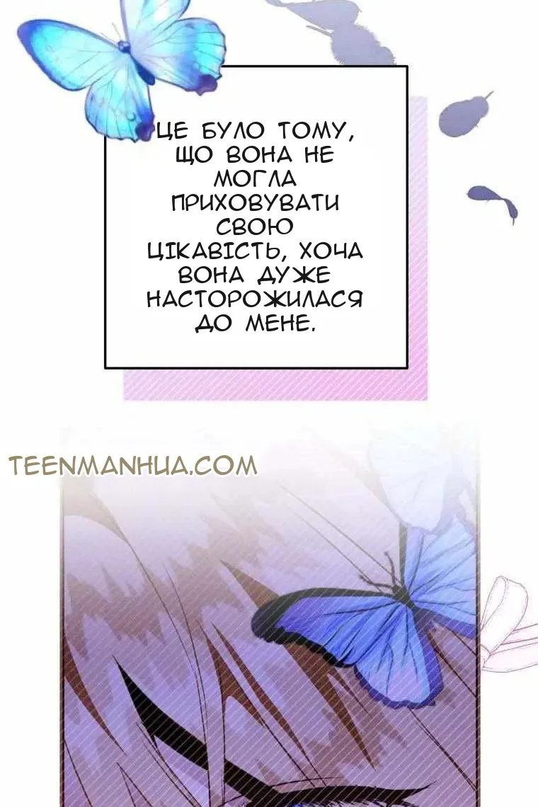 Сторінка 17
