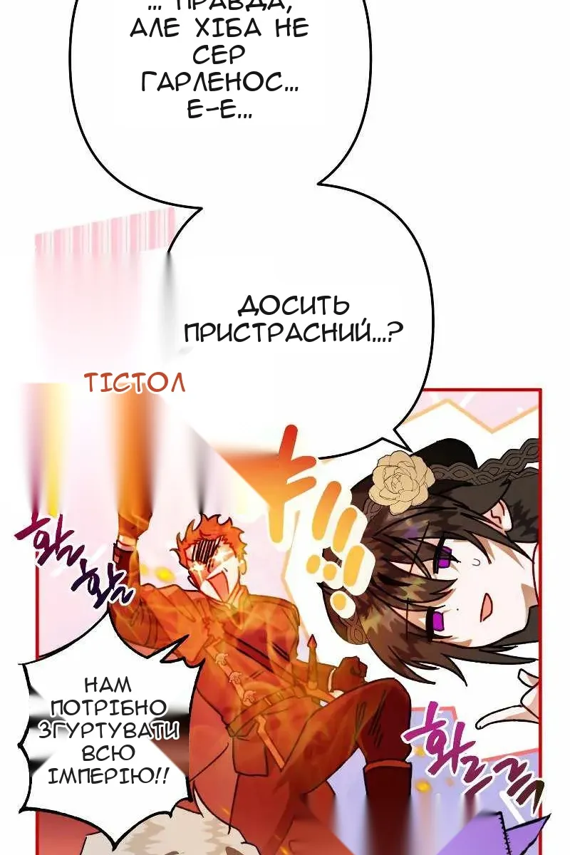 Сторінка 29