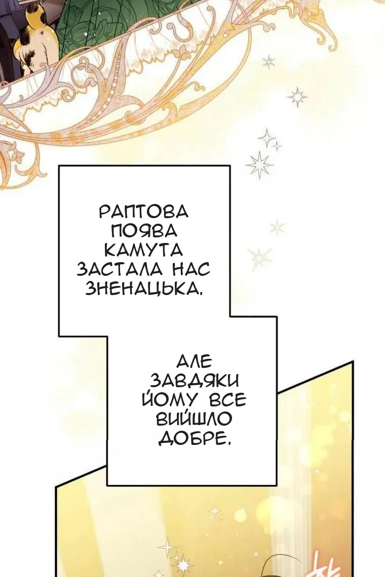 Сторінка 3