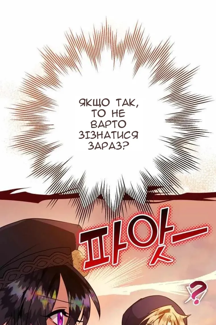 Сторінка 13