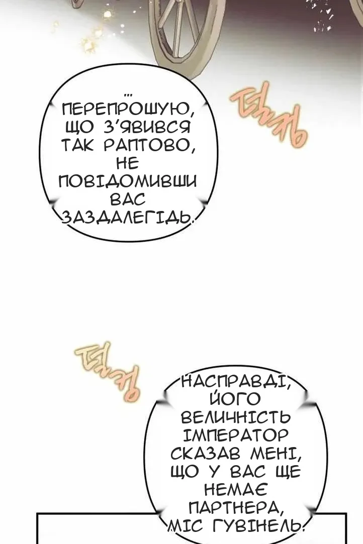 Сторінка 27
