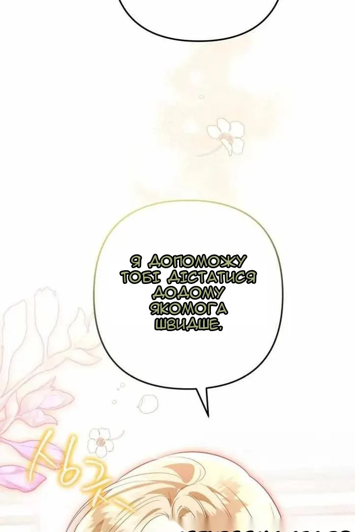 Сторінка 41