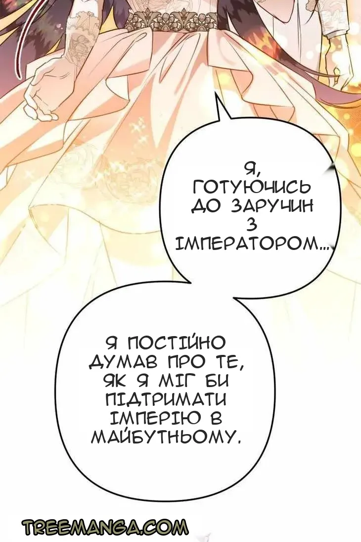 Сторінка 27