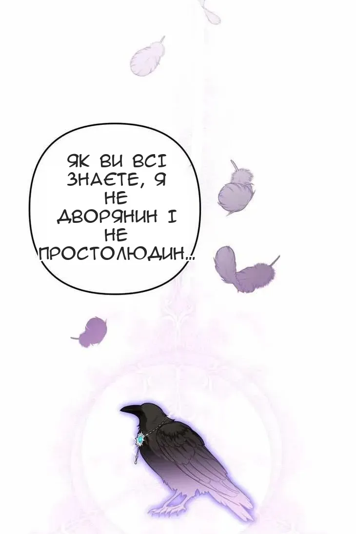 Сторінка 28