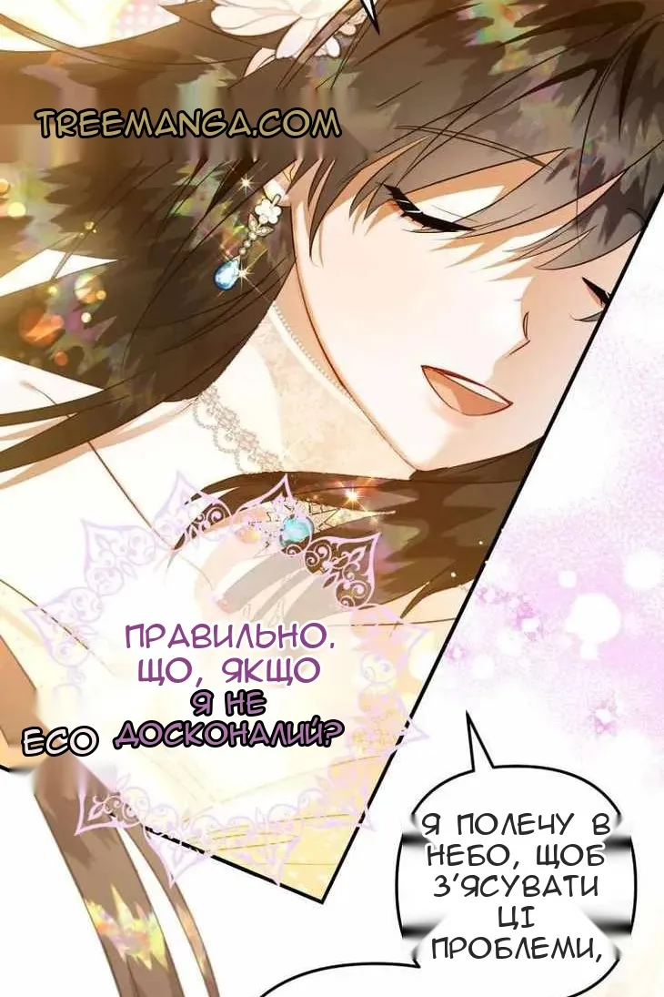 Сторінка 41
